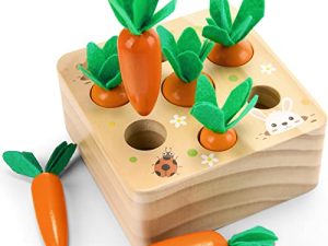 Montessori Toys for 1 Year Old