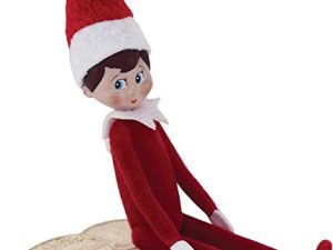 World's Smallest The Elf On The Shelf