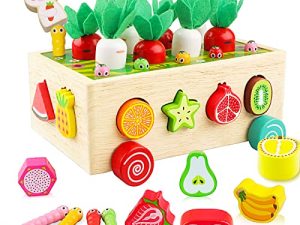 Montessori Toys for 1 Year Old