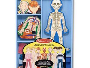 Melissa & Doug Magnetic Human Body Anatomy Play Set With 24 Magnetic Pieces and Storage Tray - Human Body Model For Kids
