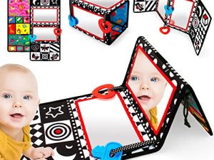 teytoy Baby Toys 0-6 Months Tummy Time Mirror