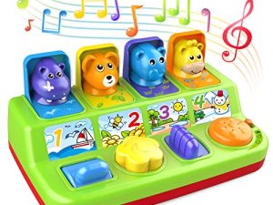 Duchong Interactive Pop Up Animals Toy for Toddlers