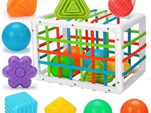 Baby Sensory Bin Shape Sorter Toys Sensory Toys for Autistic Children Developmental STEM toys Baby Toys 9 10 12-18 Months Birthday Gift for 1 Year Old Boys Girls Montessori Toys for Toddlers Age 1 2 3
