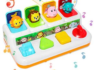 BACCOW Baby Toys 6 to 12-18 Months